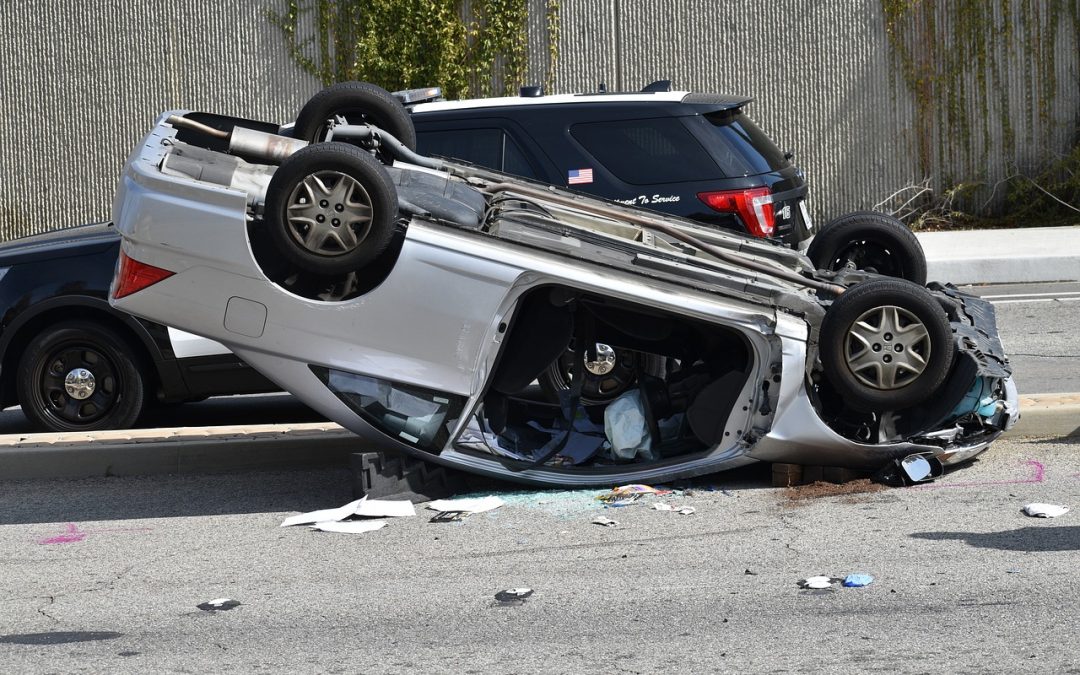 Dinas Damkar Seruyan Evakuasi Ular di Jembatan